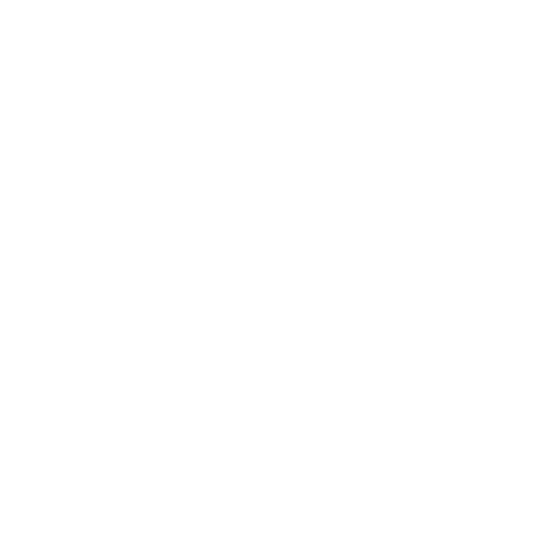 Bongiorno & Partners (NSW) Pty Ltd